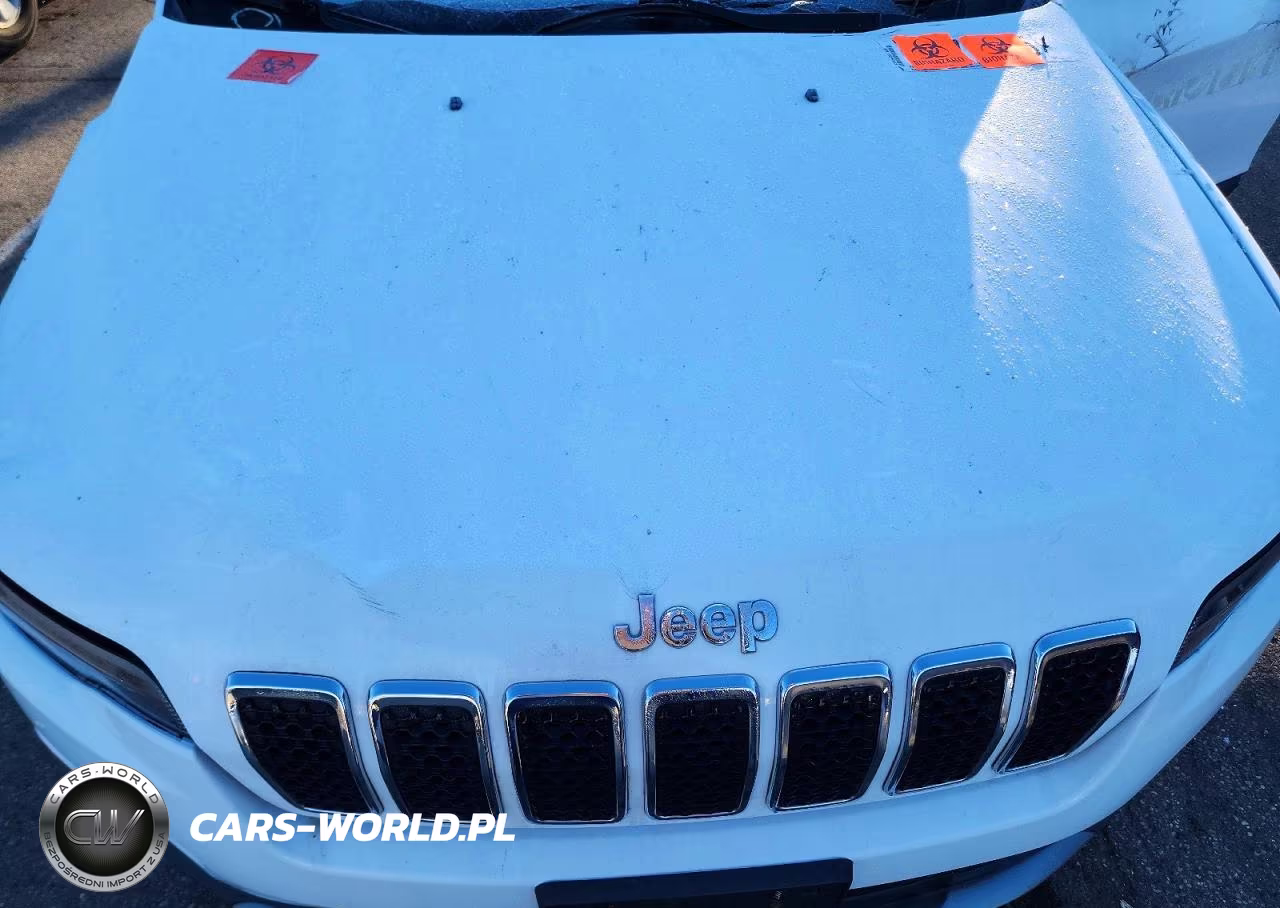 2019 Jeep Cherokee Limited VIN:1C4PJMDN9KD149169 - 12
