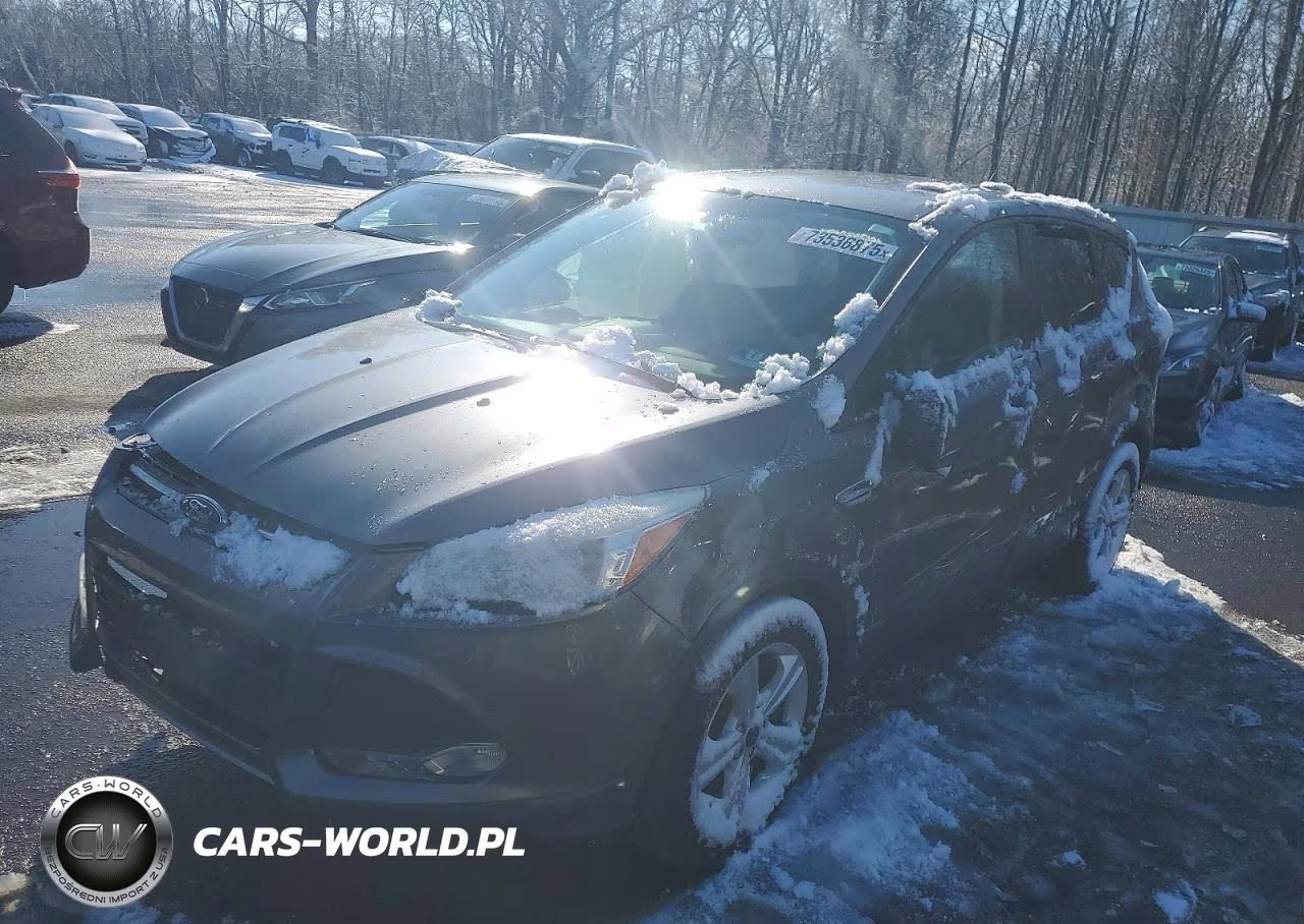 2014 Ford Escape Se