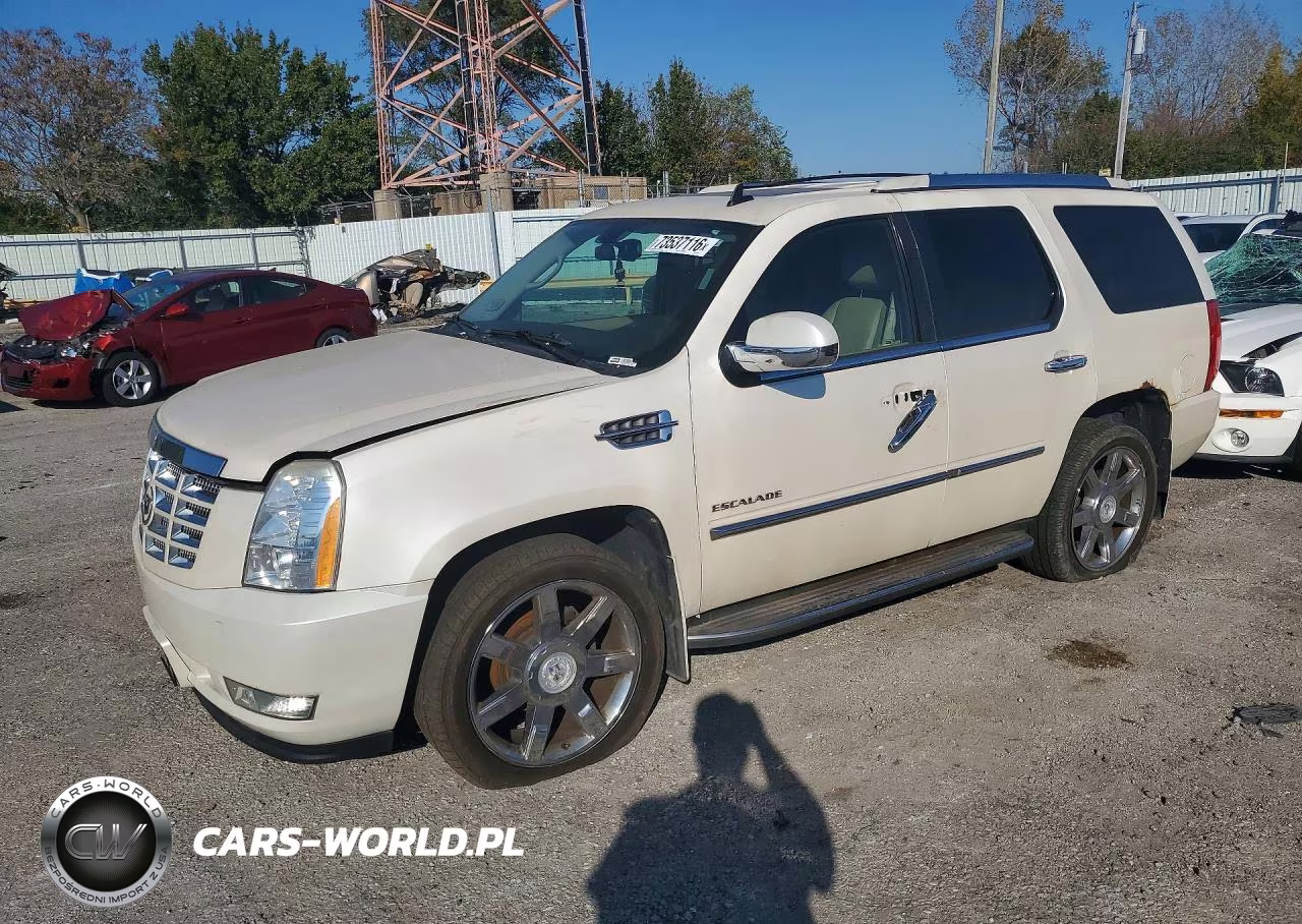 2009 Cadillac Escalade Luxury VIN:1GYFK23269R295847 - 1