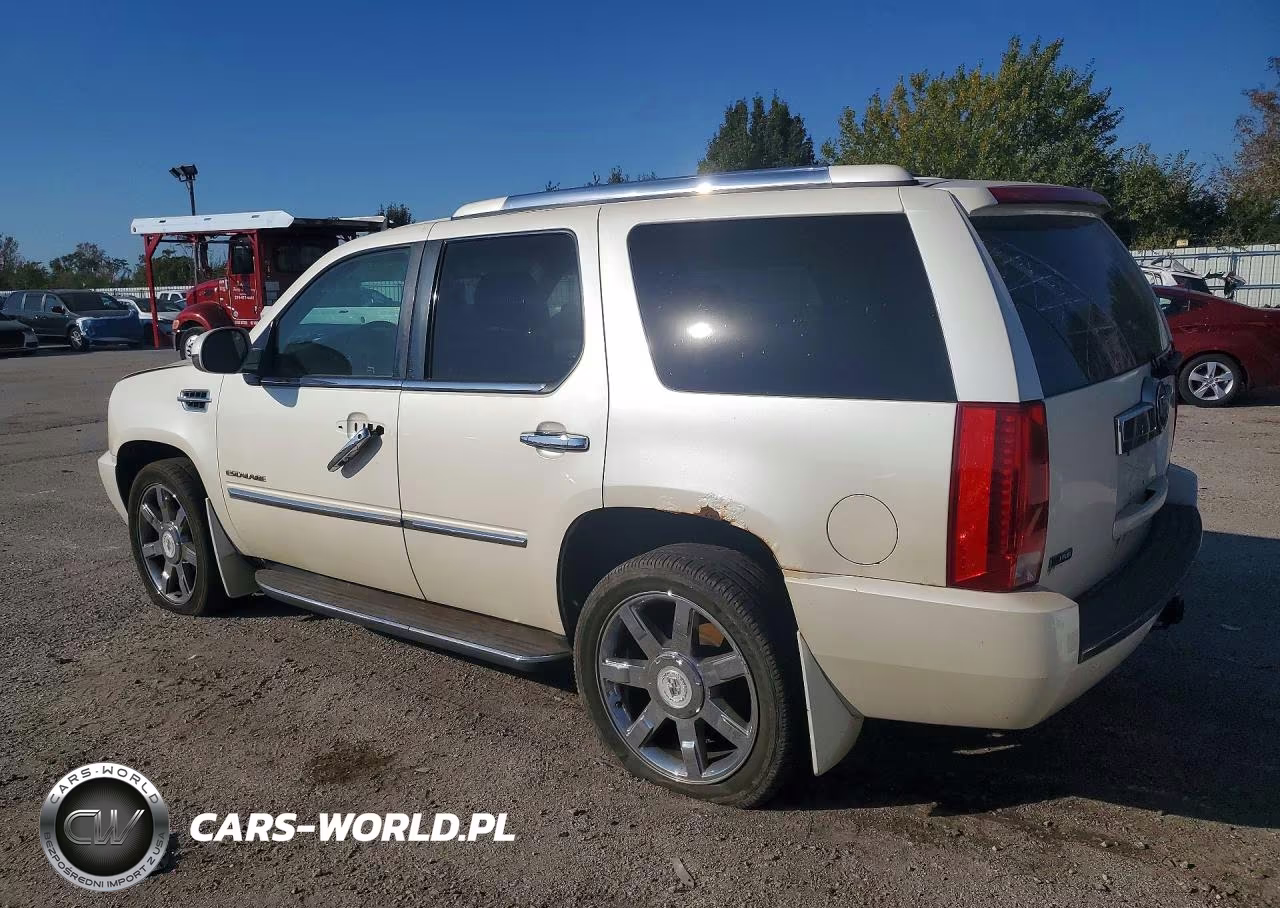 2009 Cadillac Escalade Luxury VIN:1GYFK23269R295847 - 2