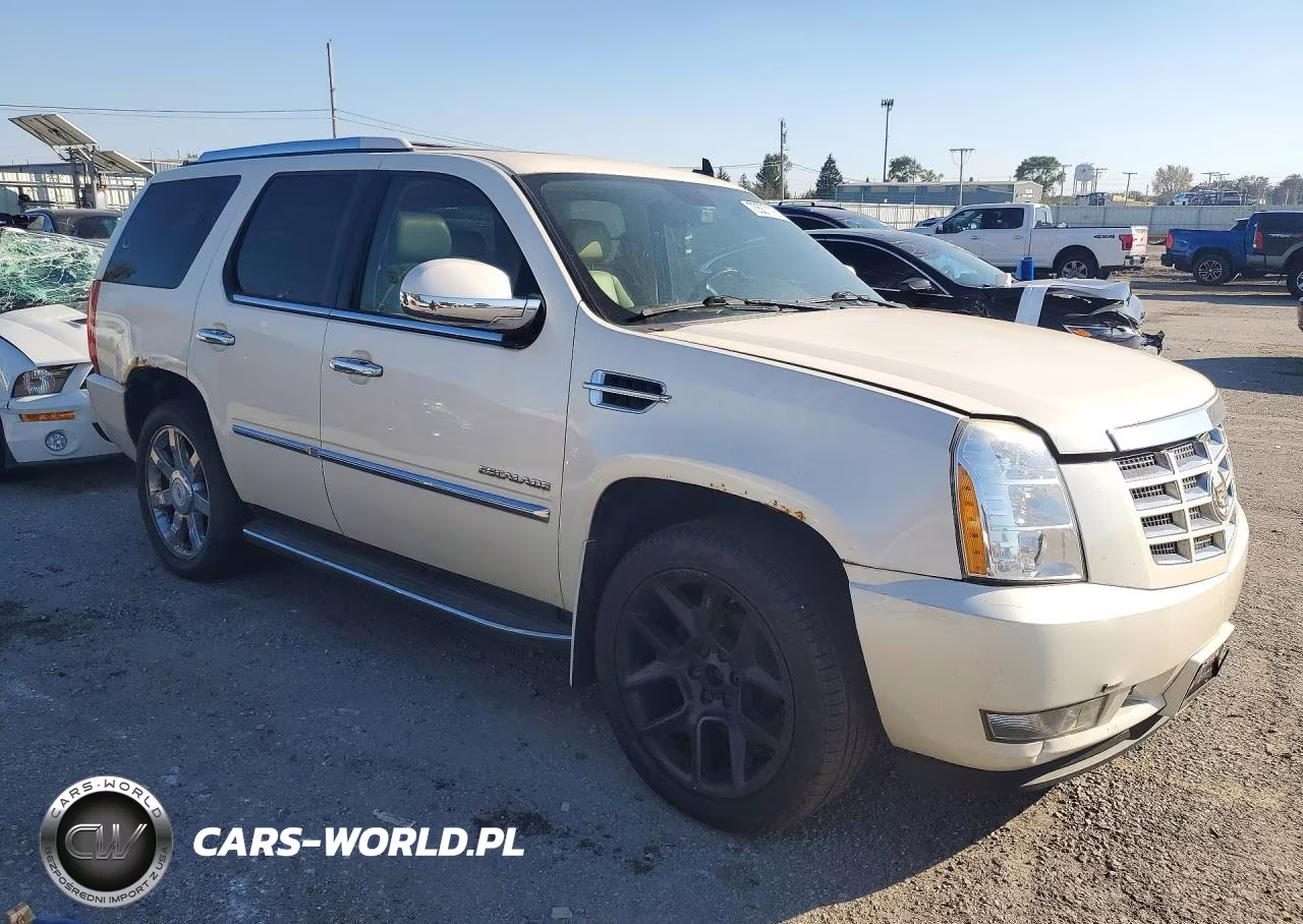 2009 Cadillac Escalade Luxury VIN:1GYFK23269R295847 - 4