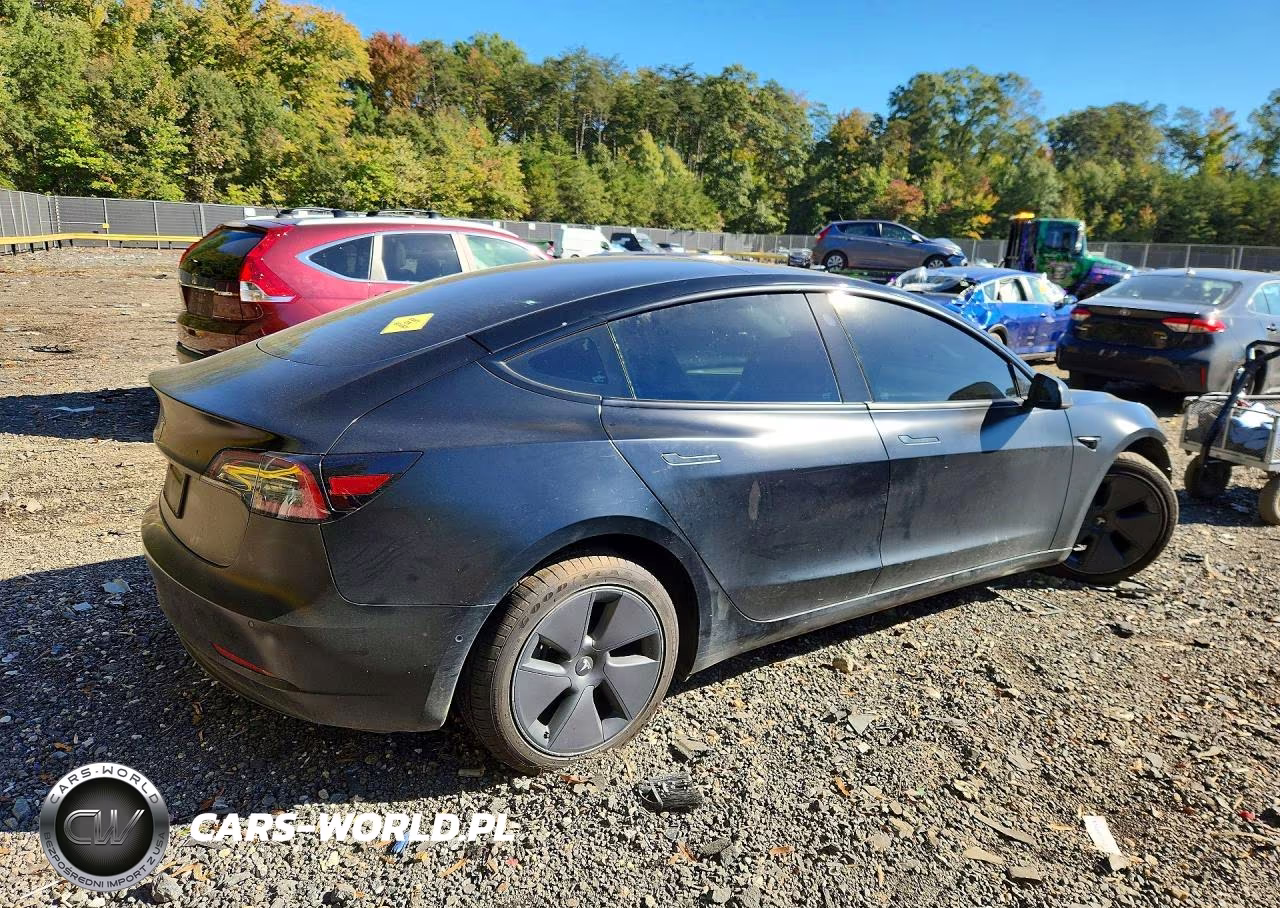 2022 Tesla Model 3 VIN:5YJ3E1EA4NF341853 - 3