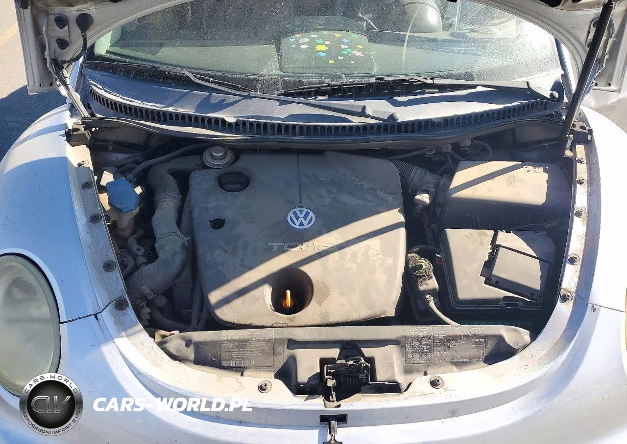 2002 Volkswagen New Beetle Gls Tdi VIN:3VWCP21C92M411004 - 11