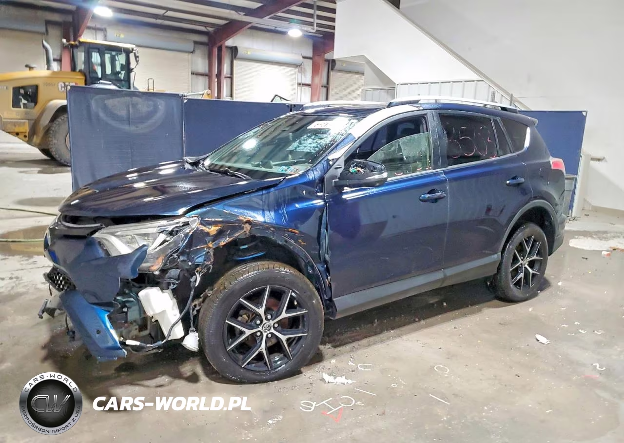 2017 Toyota Rav4 Se