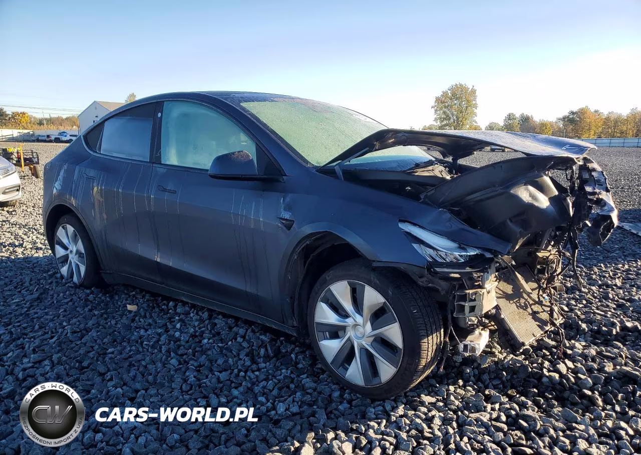 2021 Tesla Model Y VIN:5YJYGDEE6MF208000 - 4