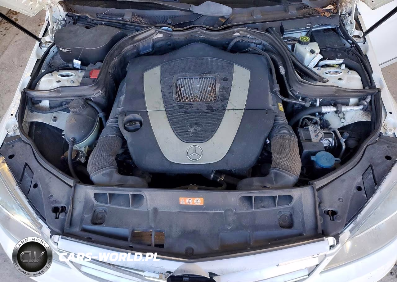 2009 Mercedes-Benz C 300 4Matic VIN:WDDGF81X79F255316 - 11