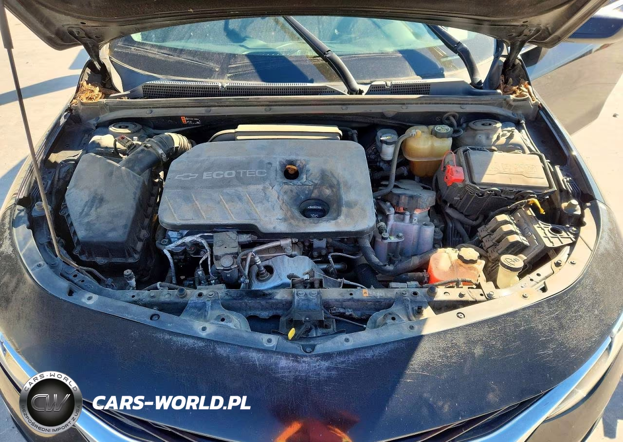 2019 Chevrolet Malibu Hybrid VIN:1G1ZF5SU9KF210494 - 11