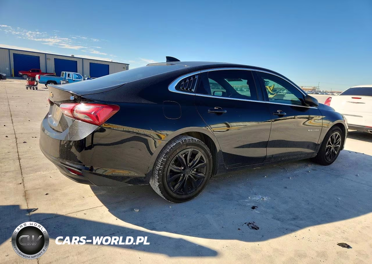2019 Chevrolet Malibu Hybrid VIN:1G1ZF5SU9KF210494 - 3