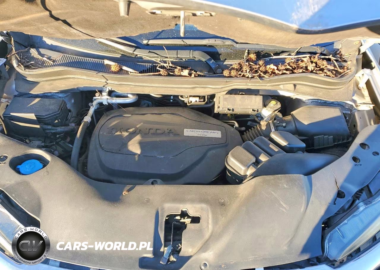 2019 Honda Pilot Exl VIN:5FNYF6H58KB047561 - 12