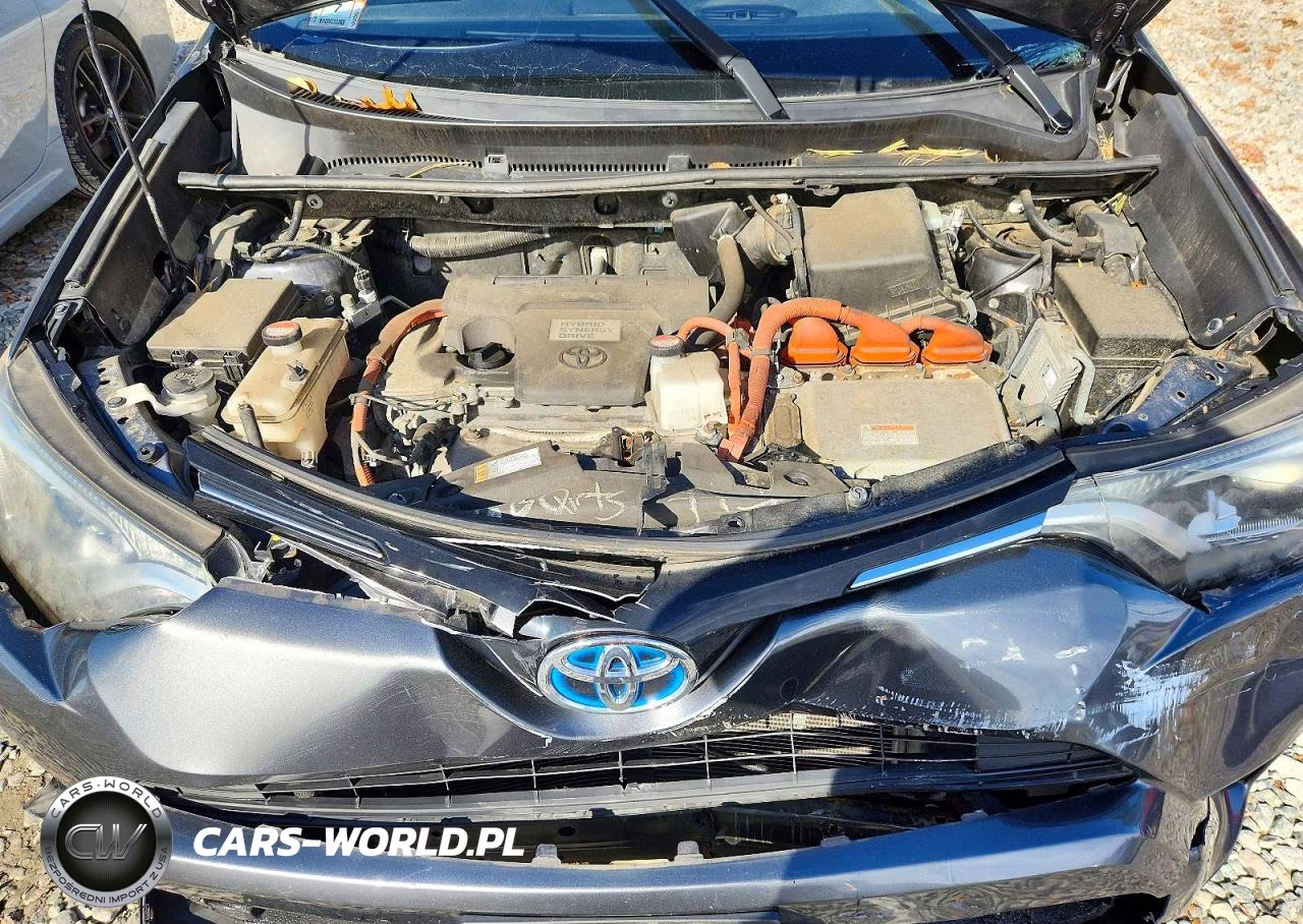 2016 Toyota Rav4 Hv Xle VIN:JTMRJREV5GD031227 - 12