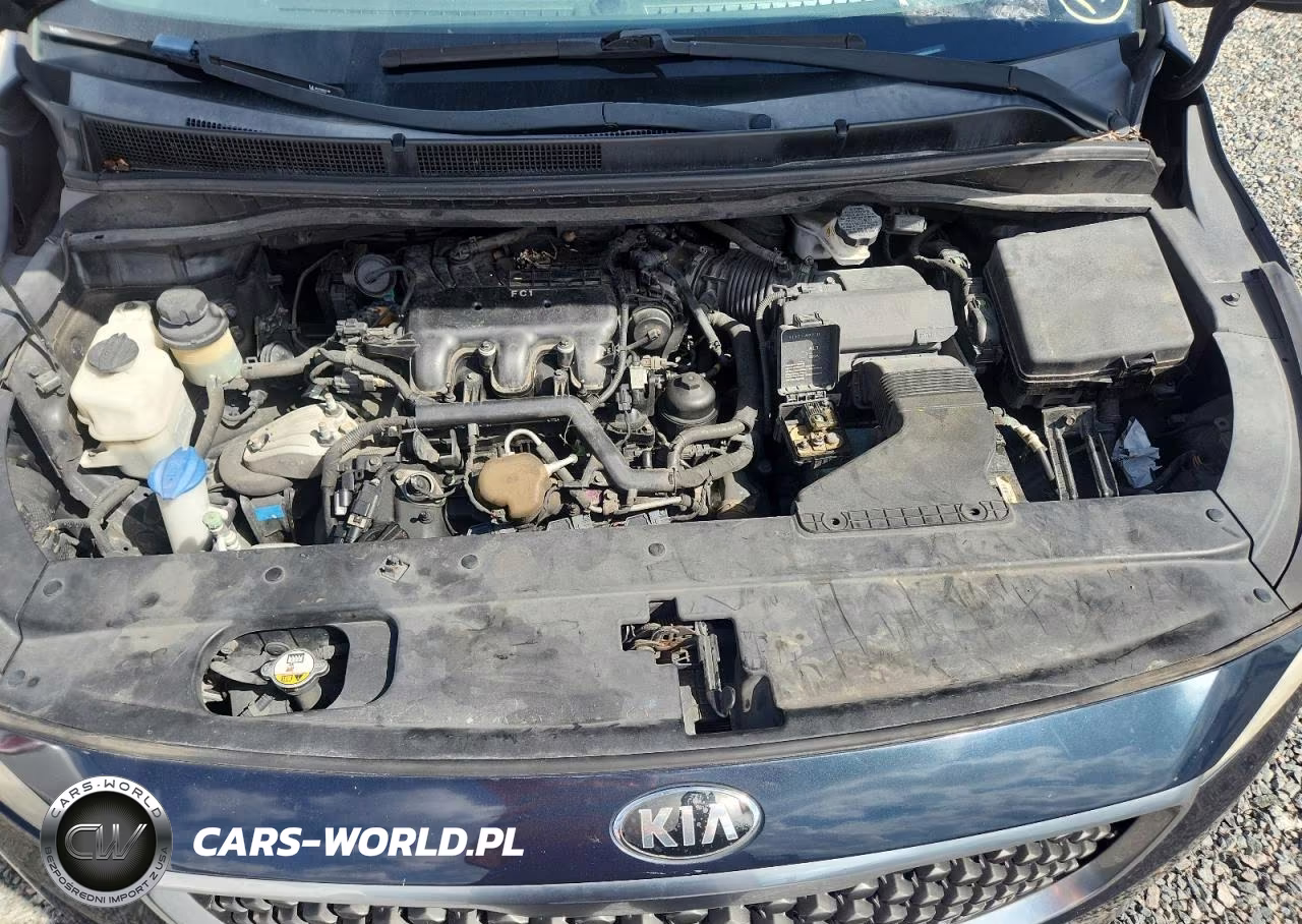 2015 Kia Sedona Lx VIN:KNDMB5C13F6058431 - 12