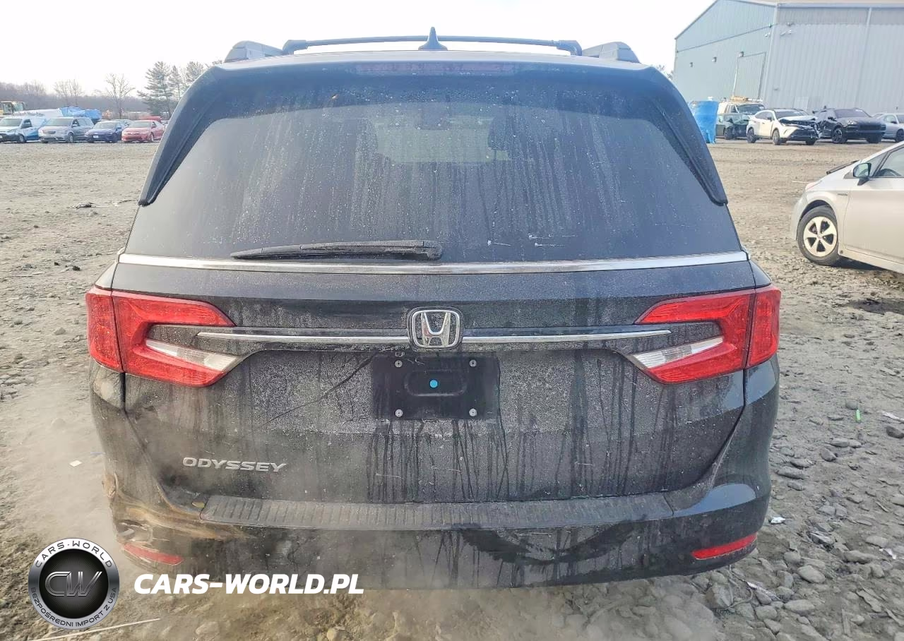 2024 Honda Odyssey Exl VIN:5FNRL6H60RB066220 - 6