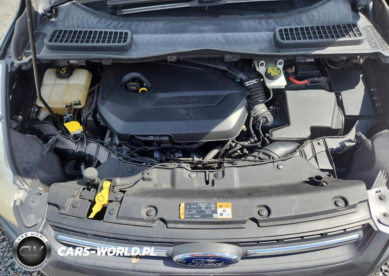 2015 Ford Escape Se VIN:1FMCU0GX2FUA37228 - 12