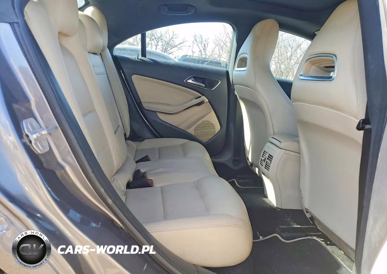 2016 Mercedes-Benz Cla 250 VIN:WDDSJ4EB4GN388943 - 10