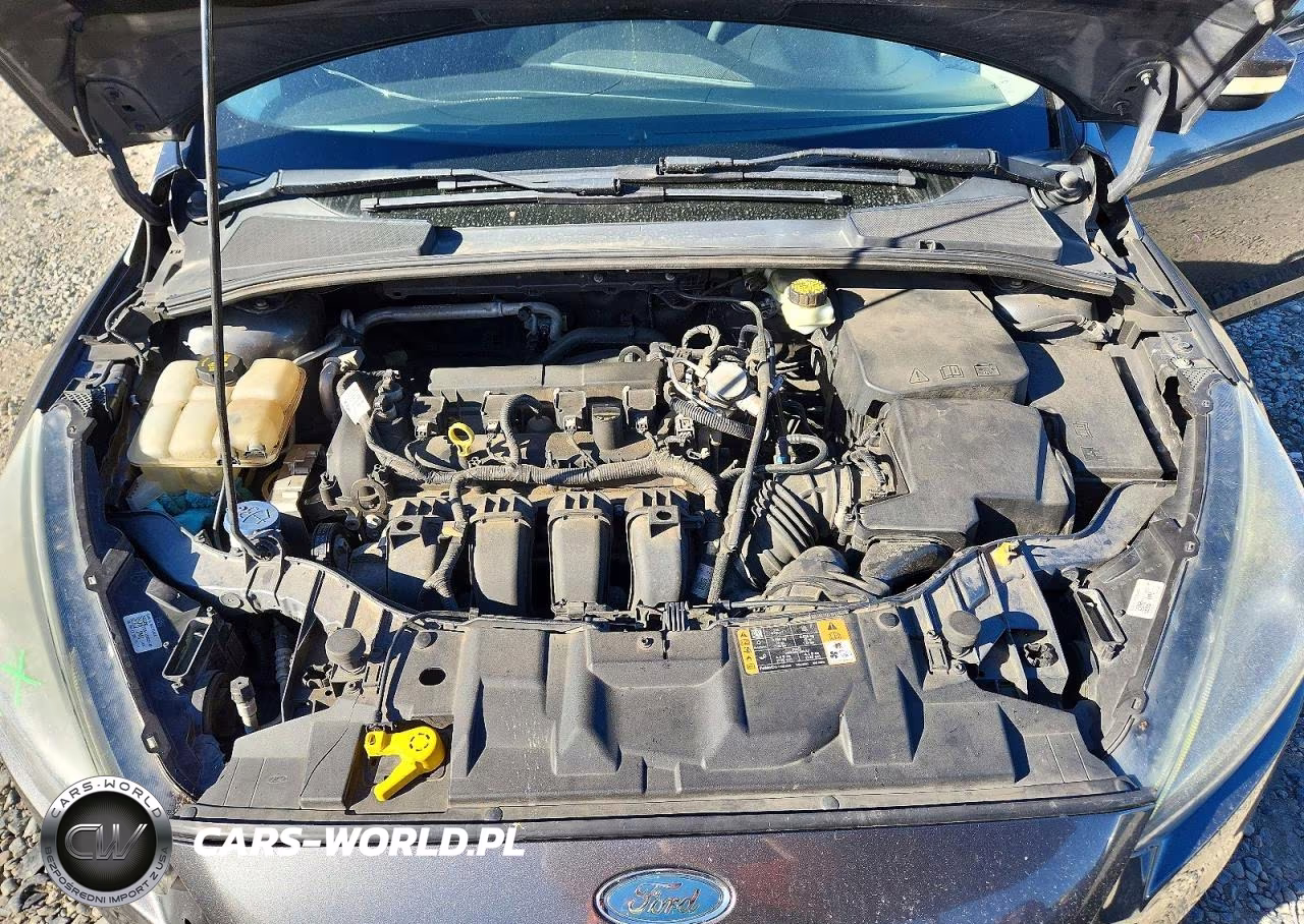 2017 Ford Focus Sel VIN:1FADP3H22HL248982 - 11
