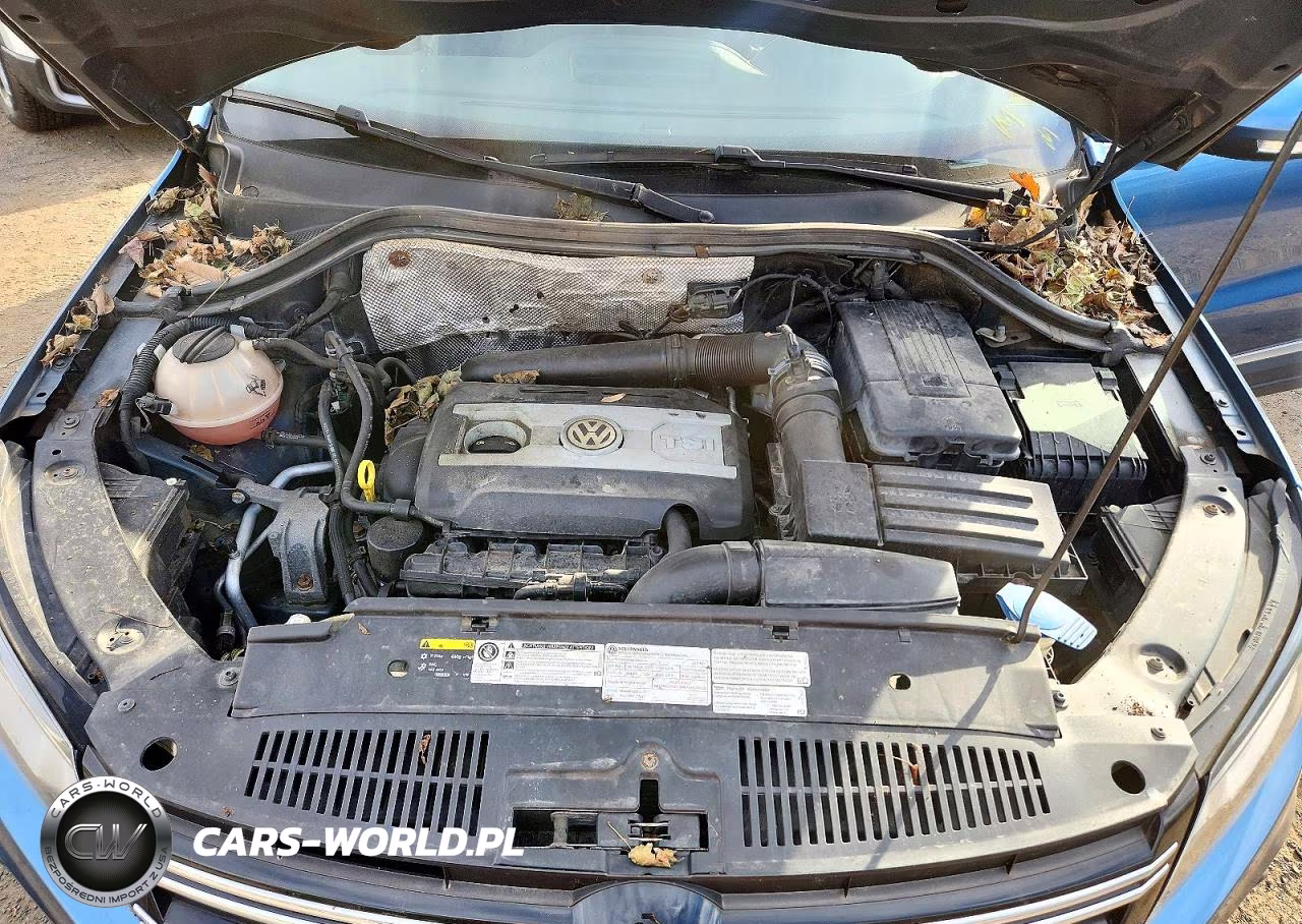 2017 Volkswagen Tiguan Sel VIN:WVGWV7AX1HK027414 - 12