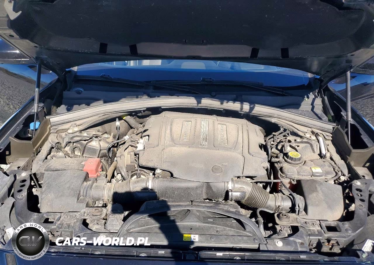 2019 Jaguar F-Pace S VIN:SADCM2FV8KA358237 - 12