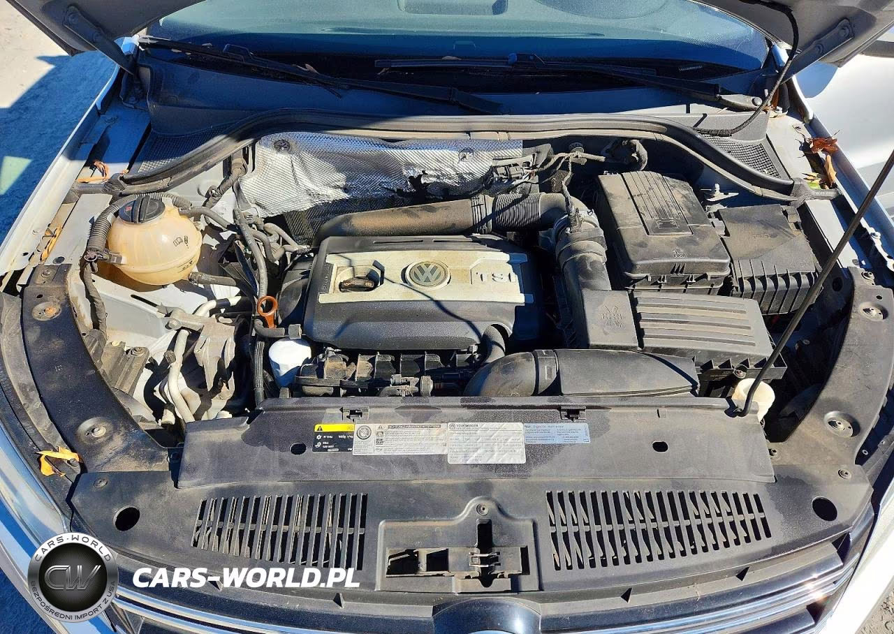 2013 Volkswagen Tiguan S VIN:WVGAV3AX4DW591645 - 12