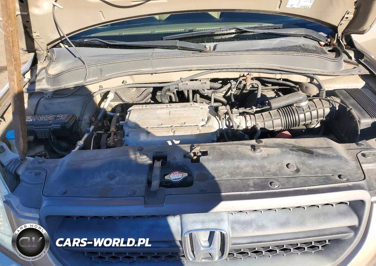 2004 Honda Pilot Exl VIN:2HKYF18534H531953 - 12