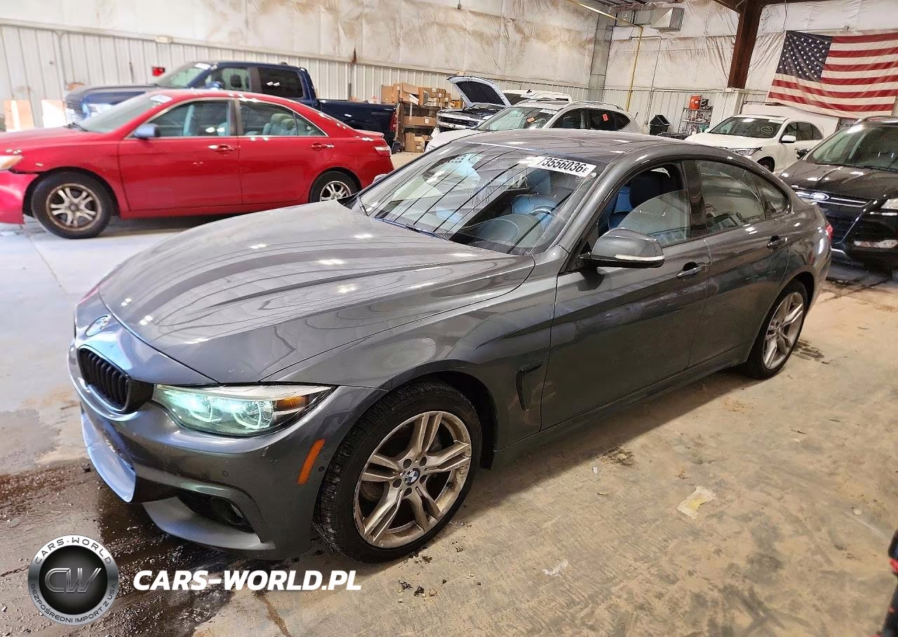 2018 BMW 430I Gran Coupe xDrive VIN:WBA4J3C52JBG97233 - 1