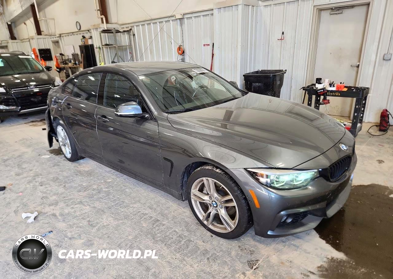 2018 BMW 430I Gran Coupe xDrive VIN:WBA4J3C52JBG97233 - 4