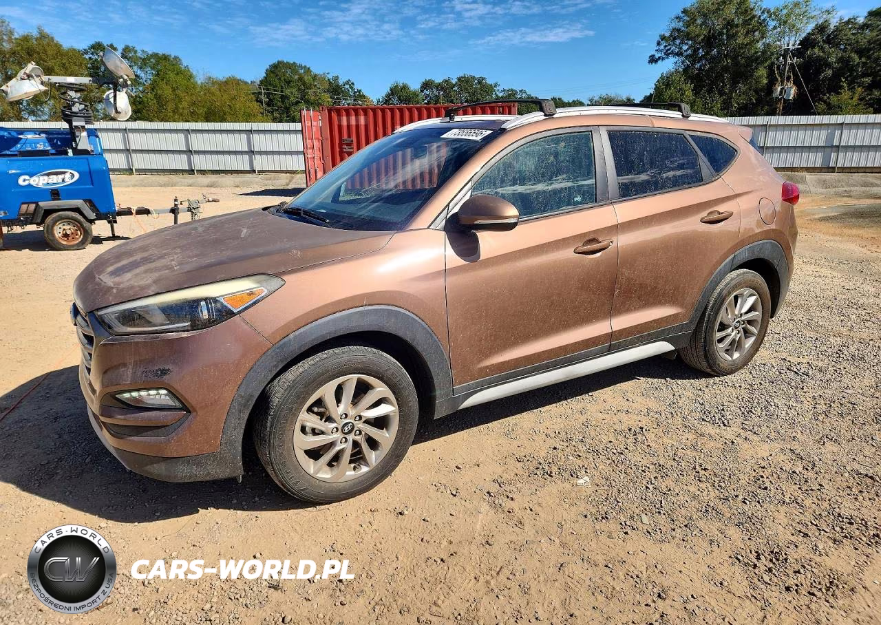 2017 Hyundai Tucson Eco VIN:KM8J33A2XHU420605 - 1