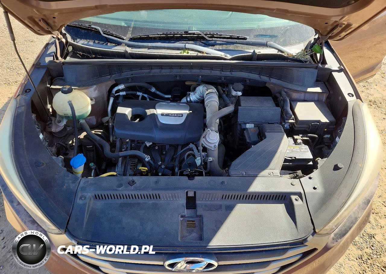 2017 Hyundai Tucson Eco VIN:KM8J33A2XHU420605 - 12