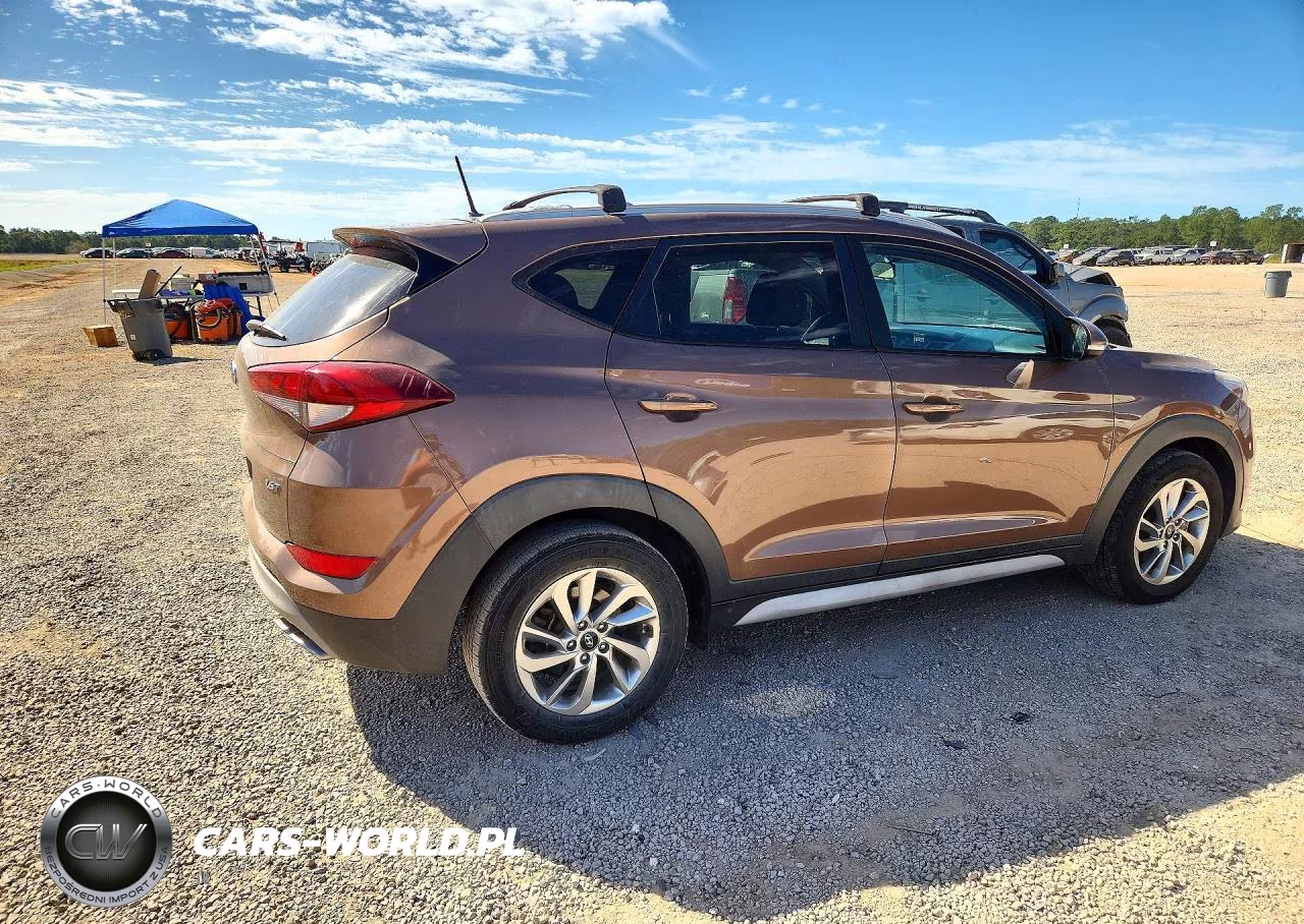 2017 Hyundai Tucson Eco VIN:KM8J33A2XHU420605 - 3