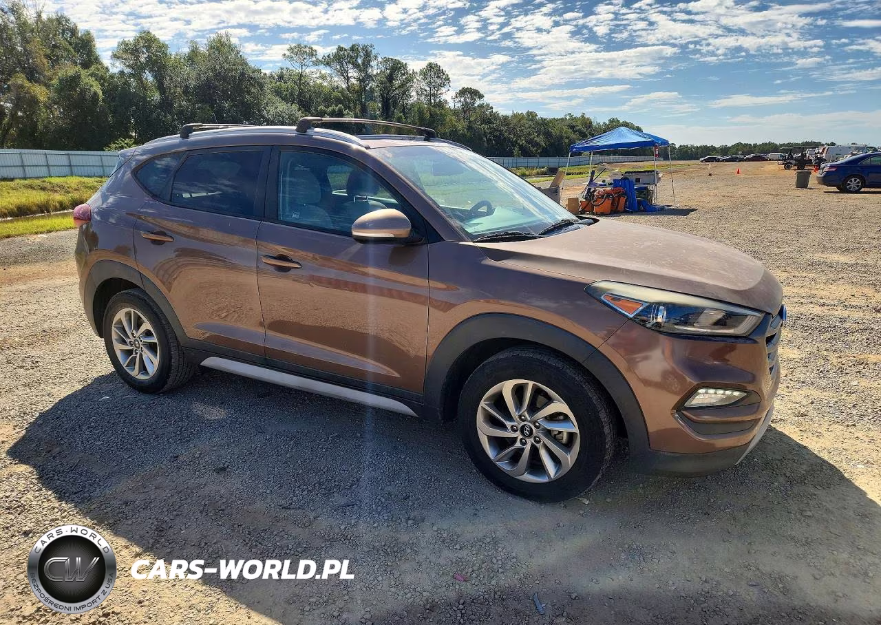 2017 Hyundai Tucson Eco VIN:KM8J33A2XHU420605 - 4