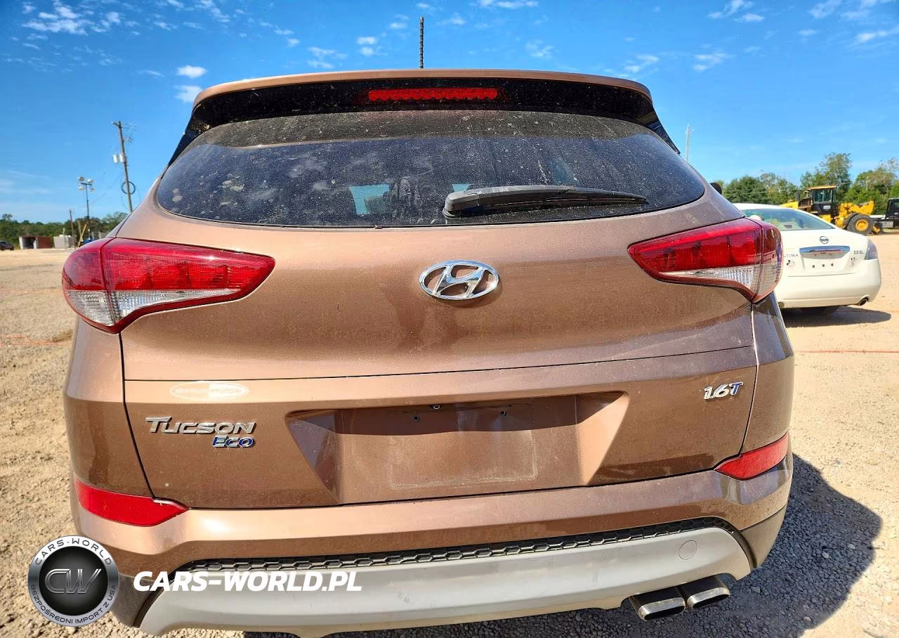 2017 Hyundai Tucson Eco VIN:KM8J33A2XHU420605 - 6