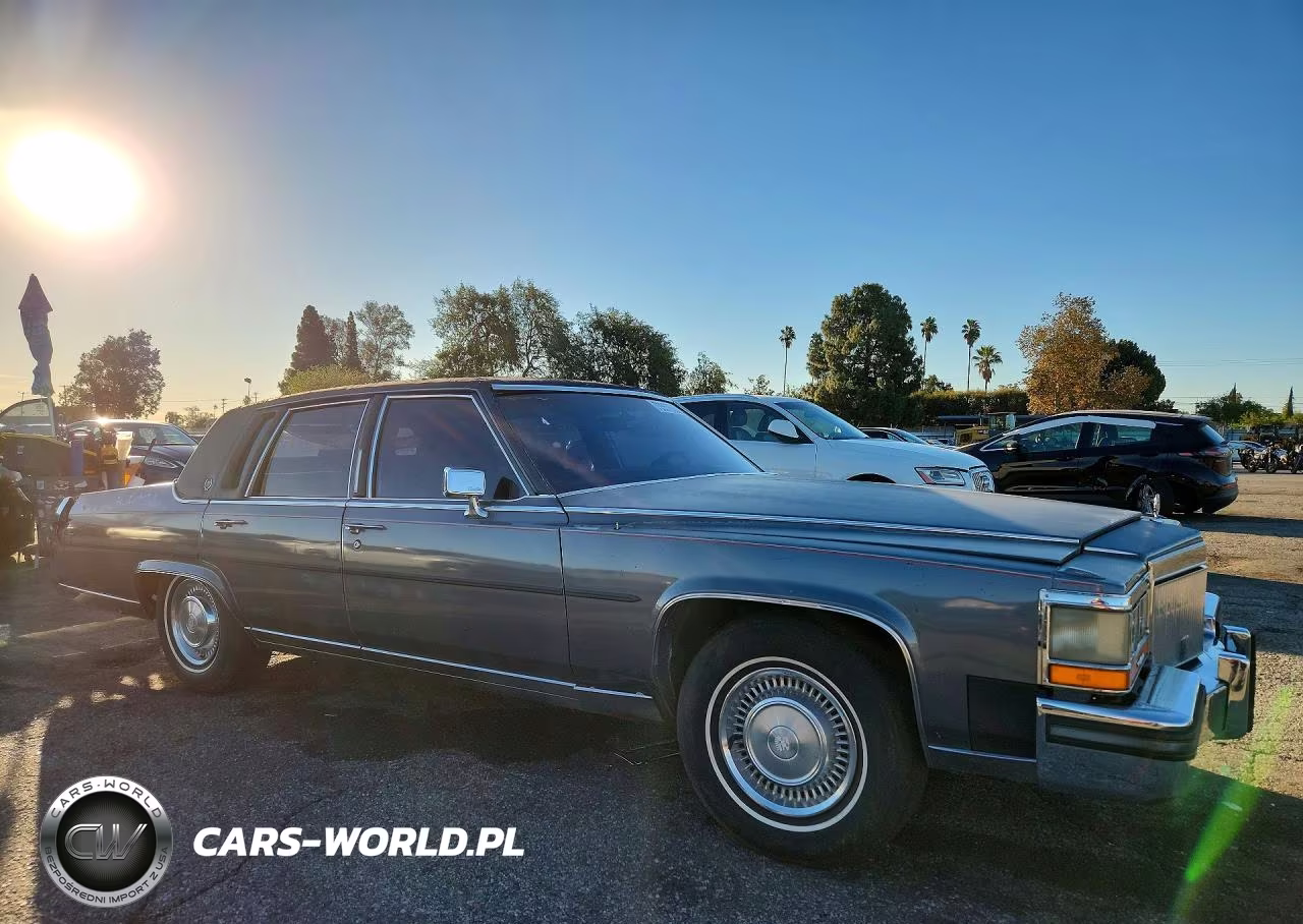 1989 Cadillac Brougham VIN:1G6DW51Y1KR713461 - 4
