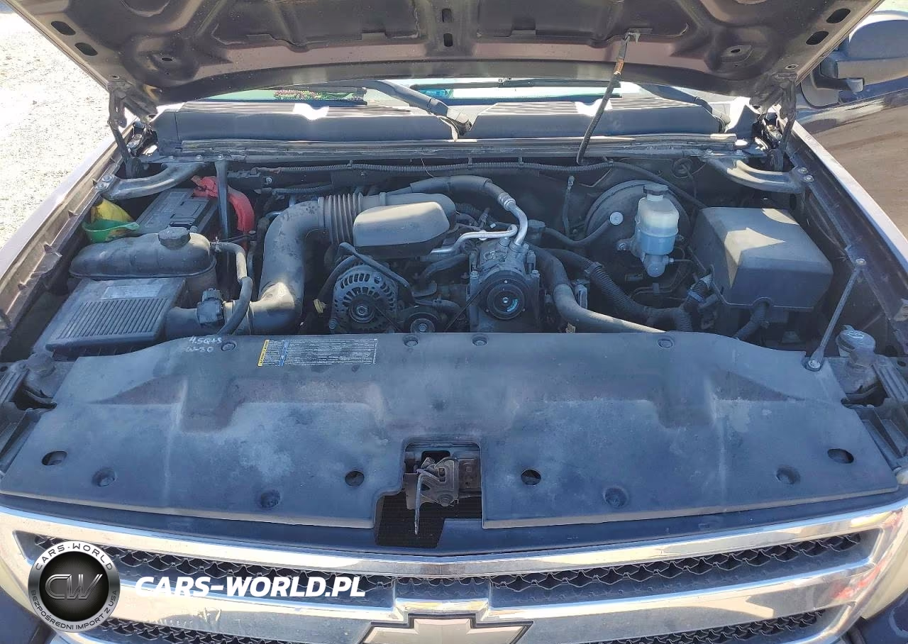 2009 Chevrolet Silverado C1500 VIN:1GCEC14X09Z230401 - 11