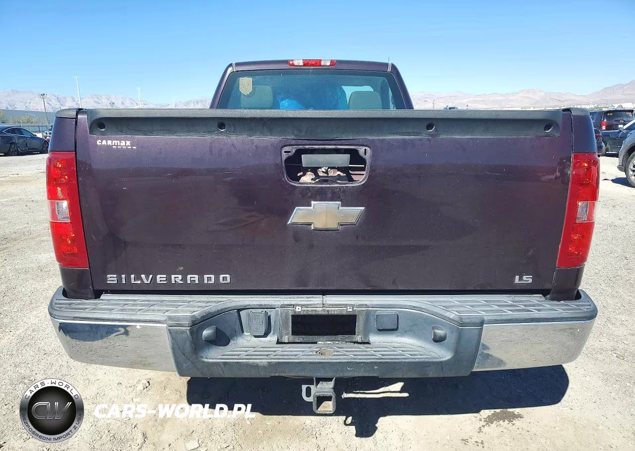 2009 Chevrolet Silverado C1500 VIN:1GCEC14X09Z230401 - 6