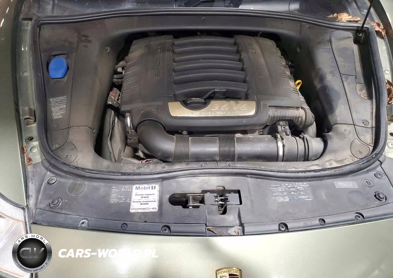 2009 Porsche Cayenne VIN:WP1AA29P29LA07071 - 12