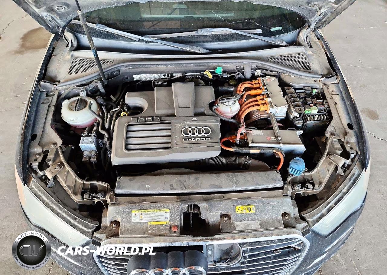 2016 Audi A3 E-Tron Premium Plus VIN:WAUTPBFF8GA121957 - 11
