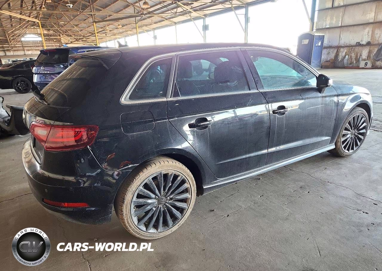 2016 Audi A3 E-Tron Premium Plus VIN:WAUTPBFF8GA121957 - 3
