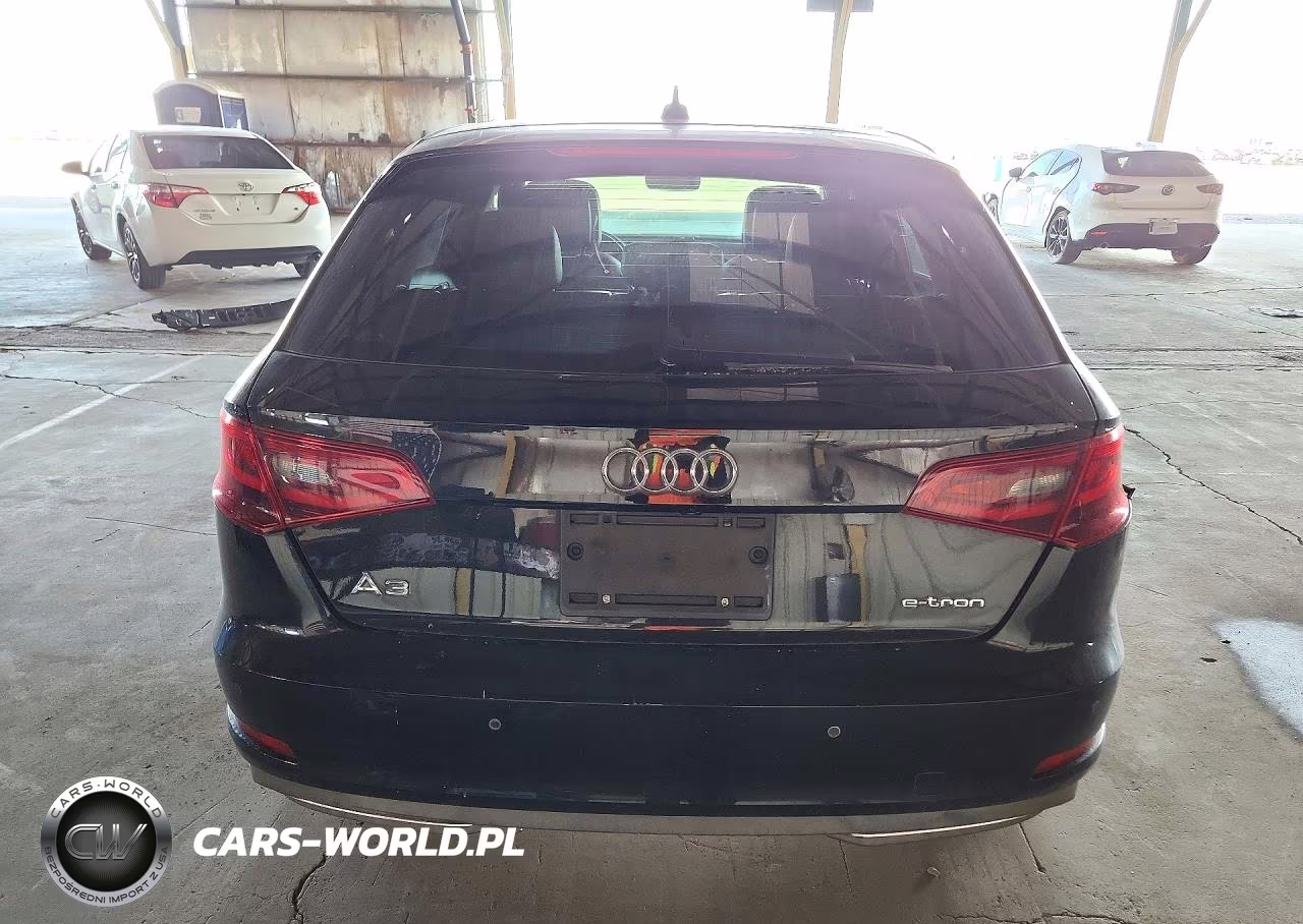 2016 Audi A3 E-Tron Premium Plus VIN:WAUTPBFF8GA121957 - 6
