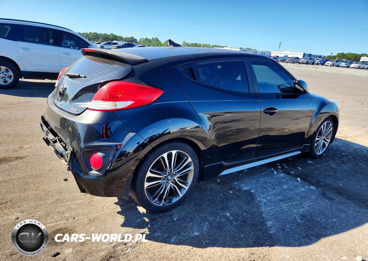 2016 Hyundai Veloster Turbo VIN:KMHTC6AE7GU280029 - 3