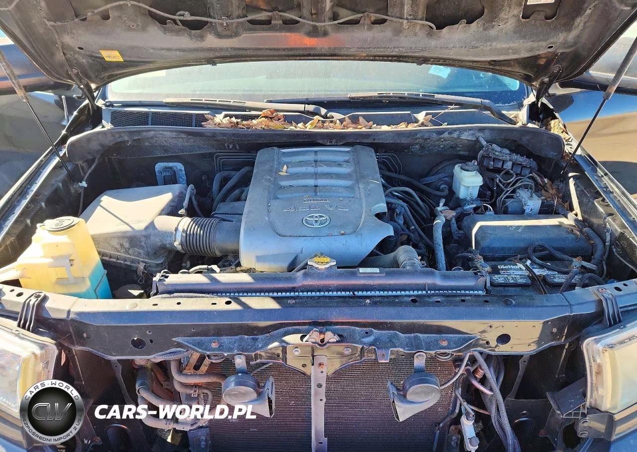 2010 Toyota Tundra Double Cab Sr5 VIN:5TFUM5F16AX005991 - 11