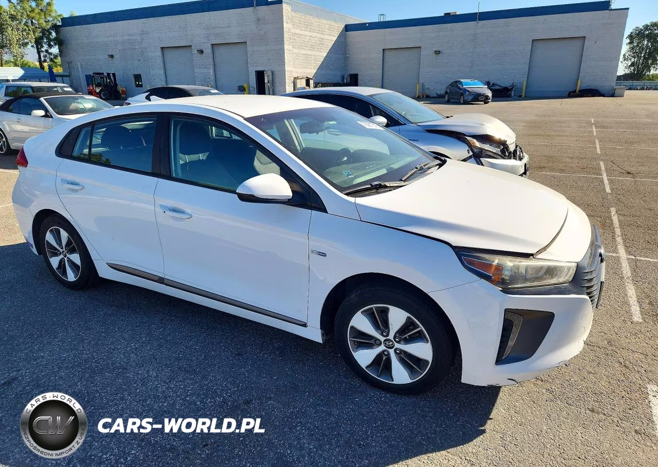 2019 Hyundai Ioniq Plug-In Hybrid Base VIN:KMHC65LD0KU114983 - 4