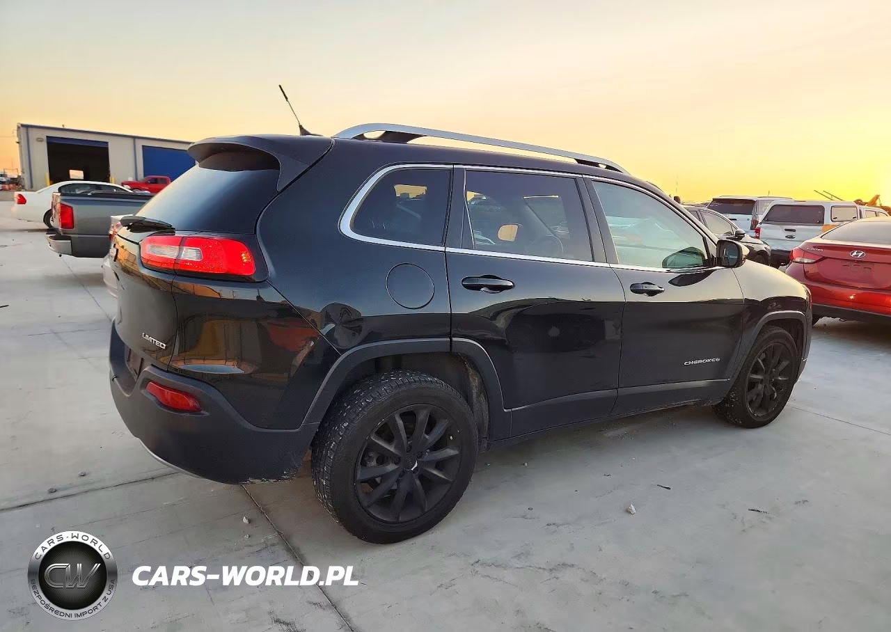 2014 Jeep Cherokee Limited VIN:1C4PJLDB3EW313332 - 3