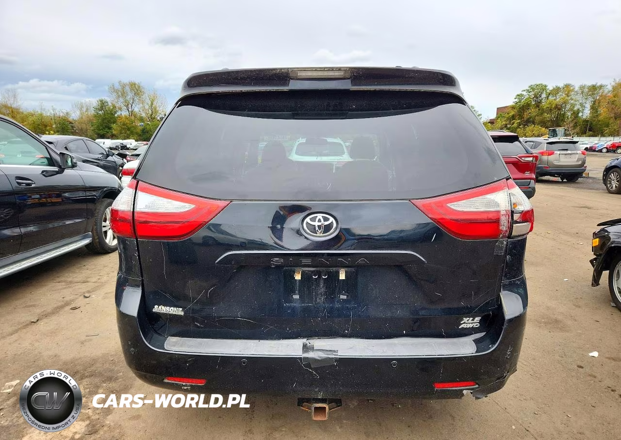 2016 Toyota Sienna Xle 7-Passenger VIN:5TDDK3DCXGS134359 - 6
