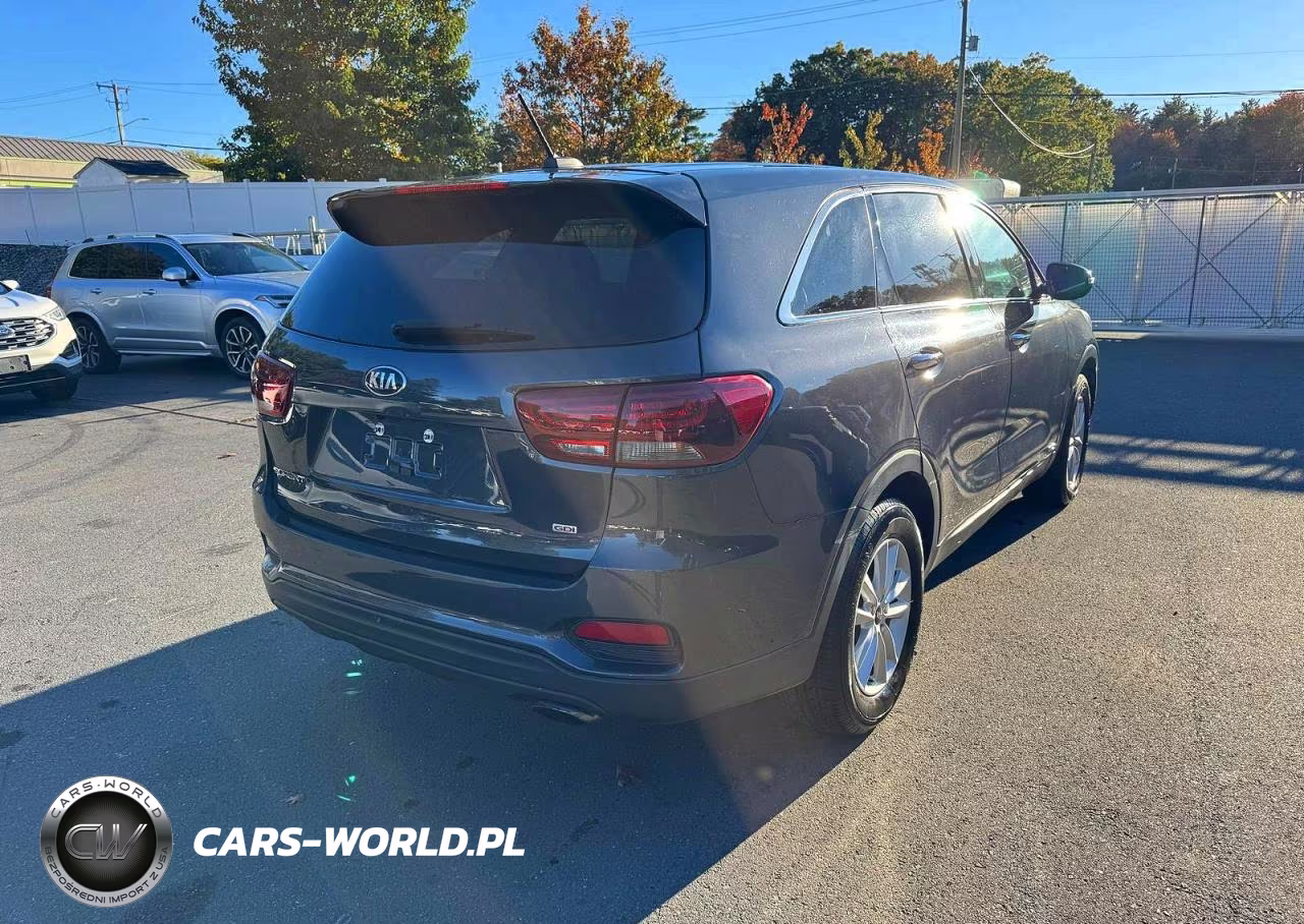 2019 Kia Sorento Lx VIN:5XYPGDA32KG447730 - 3