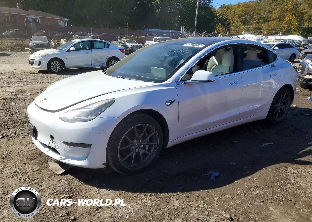 2019 Tesla Model 3
