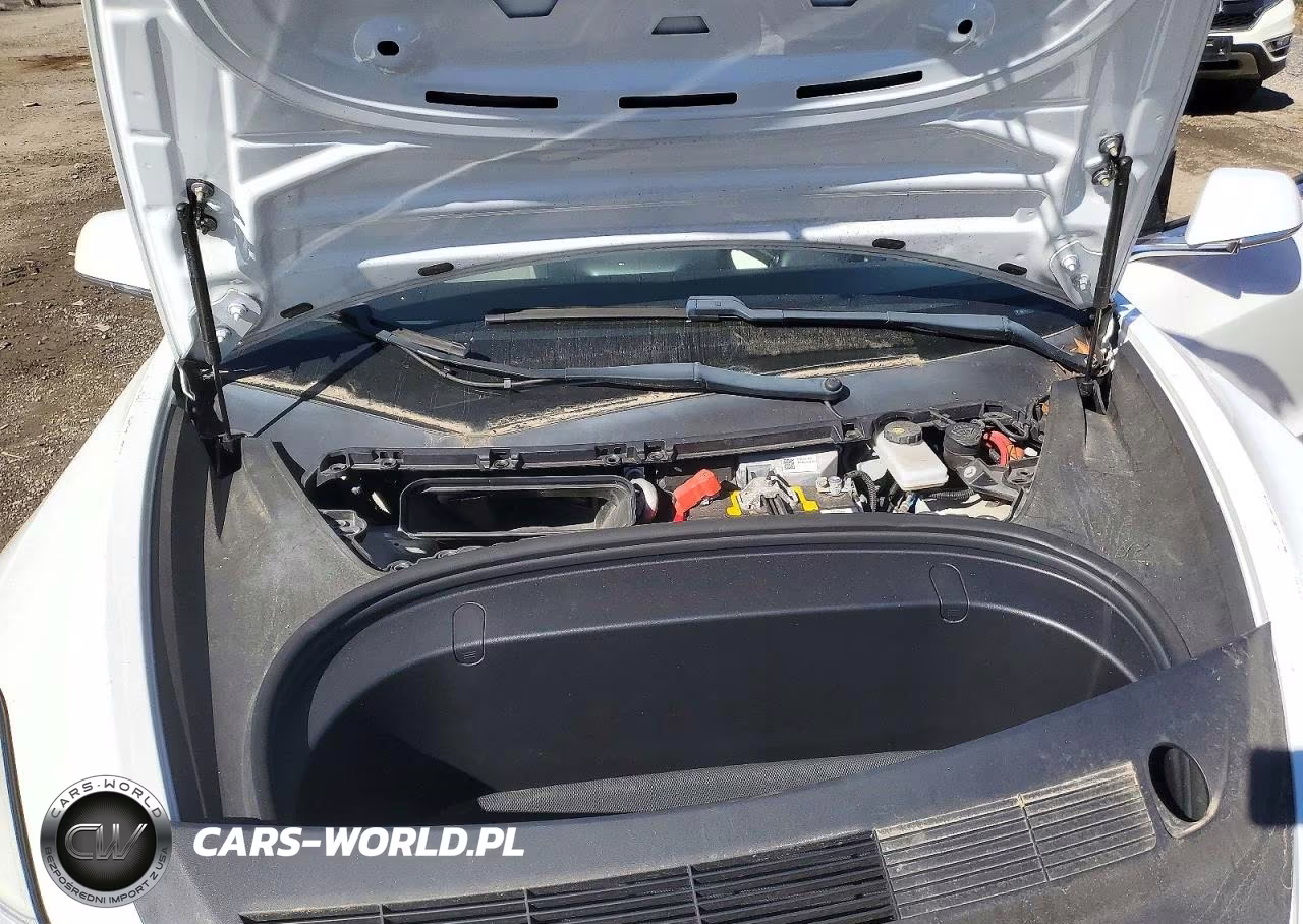 2019 Tesla Model 3 VIN:5YJ3E1EA3KF407613 - 11