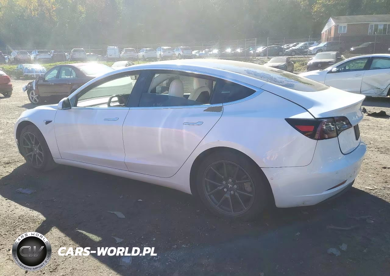 2019 Tesla Model 3 VIN:5YJ3E1EA3KF407613 - 2