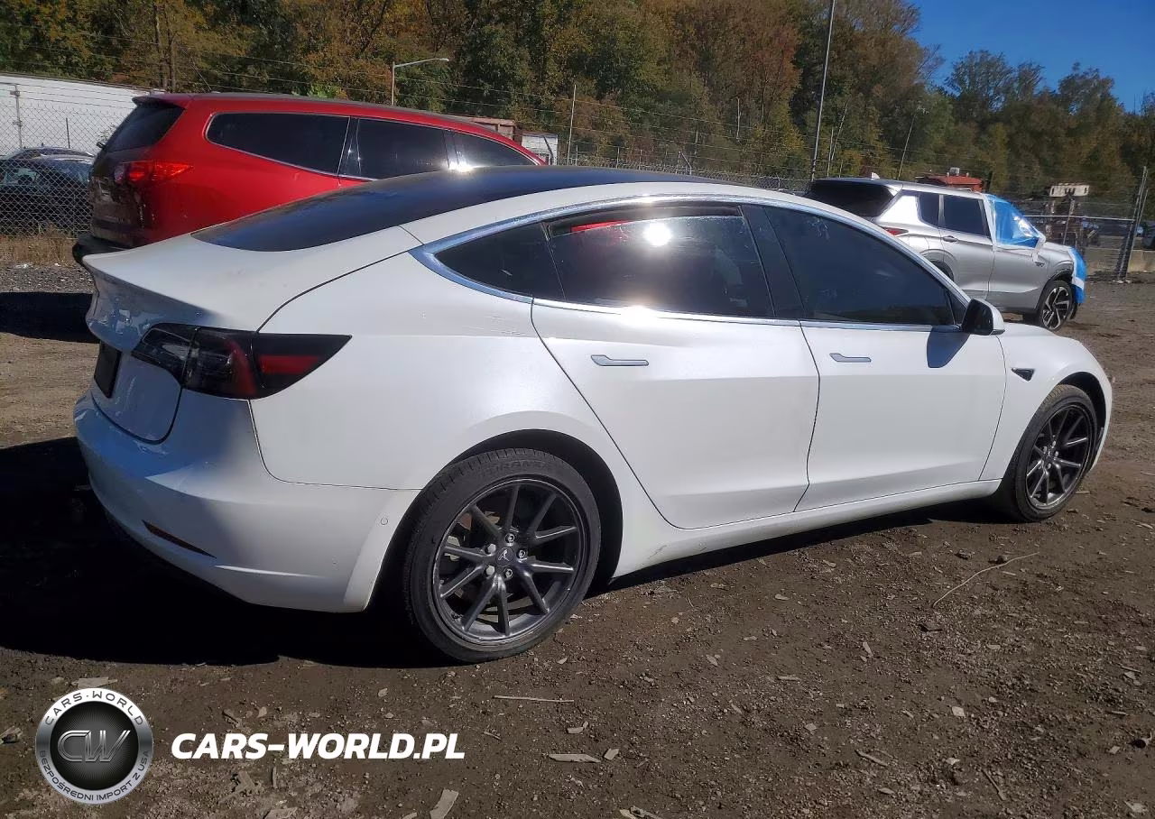 2019 Tesla Model 3 VIN:5YJ3E1EA3KF407613 - 3