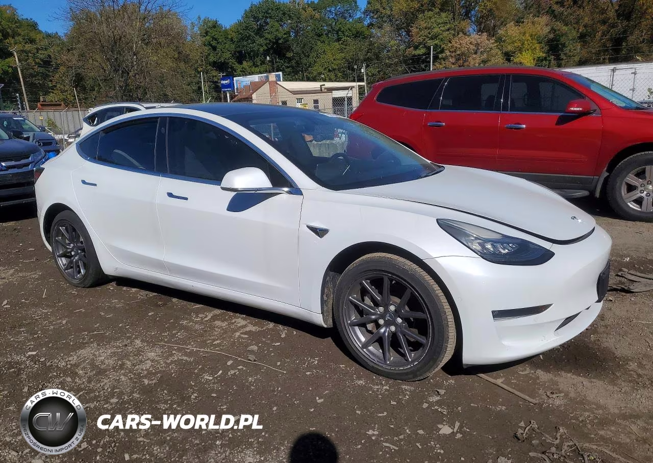2019 Tesla Model 3 VIN:5YJ3E1EA3KF407613 - 4