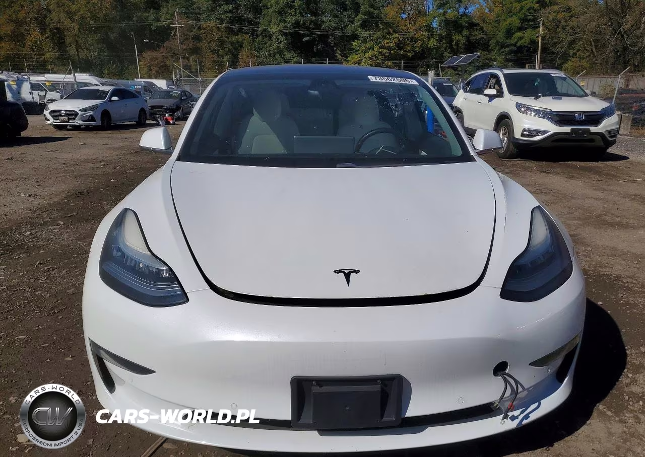 2019 Tesla Model 3 VIN:5YJ3E1EA3KF407613 - 5