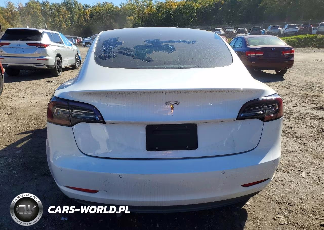 2019 Tesla Model 3 VIN:5YJ3E1EA3KF407613 - 6